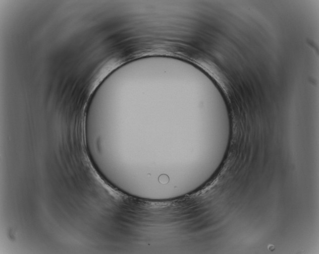 X0000092111290200709121122