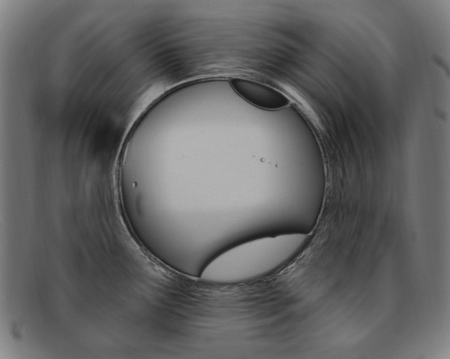 X0000092111291200709121122