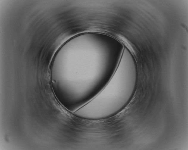 X0000092111292200709121122