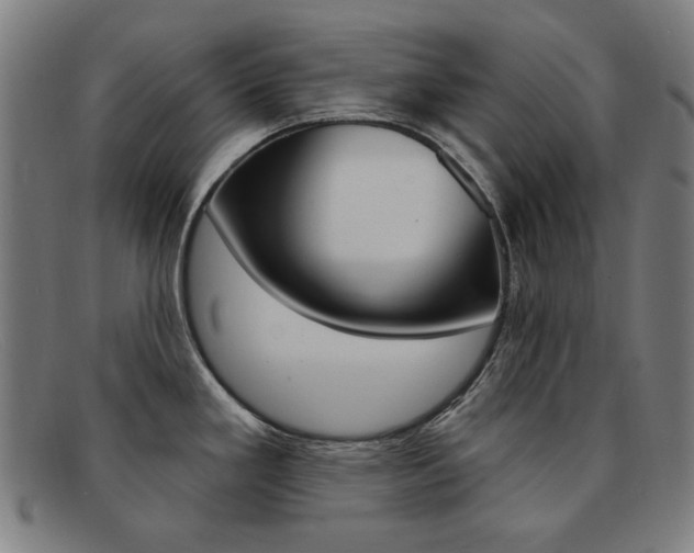 X0000092111293200709121122