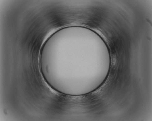 X0000092111294200709121122