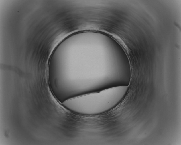 X0000092111295200709121122