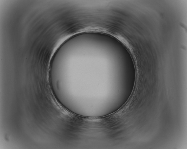 X0000092111296200709121122
