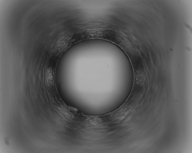 X0000092111298200709121121