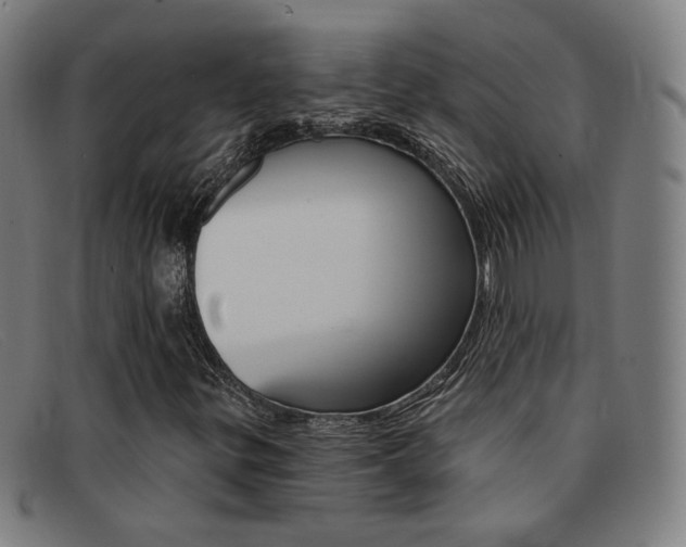 X0000092111299200709121121