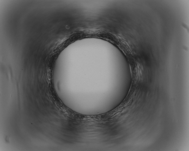 X0000092111301200709121121