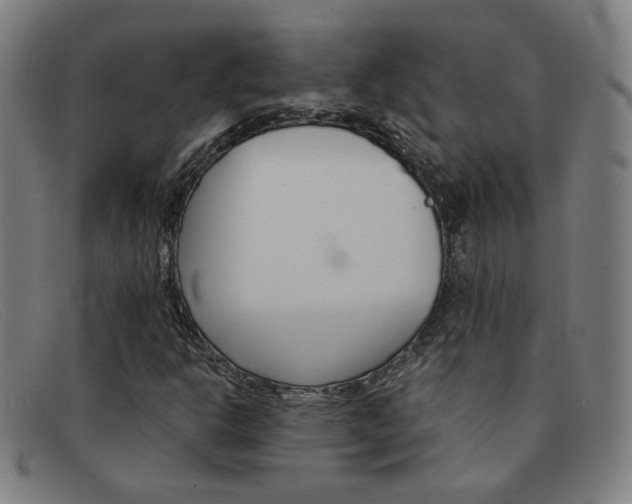 X0000092111302200709121121