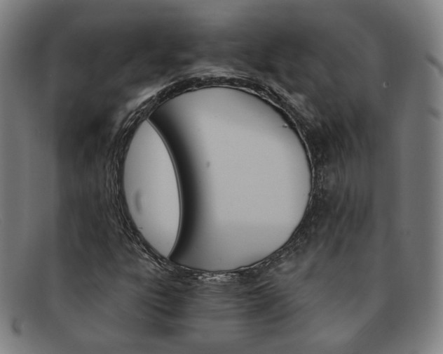 X0000092111303200709121121