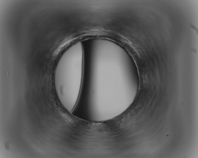 X0000092111304200709121121