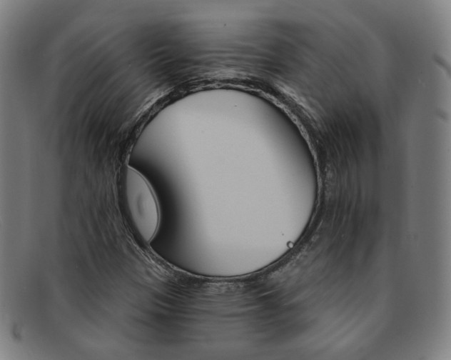 X0000092111305200709121121