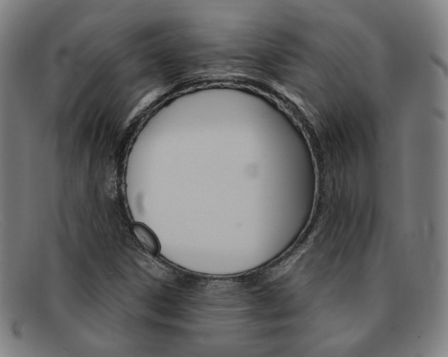 X0000092111306200709121121