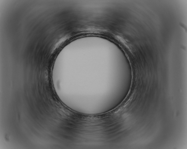 X0000092111307200709121121