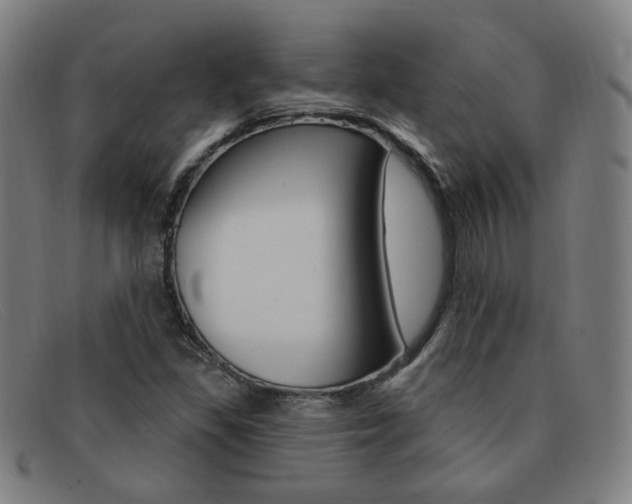 X0000092111309200709121121