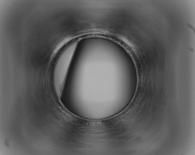 X0000092111310200709121122
