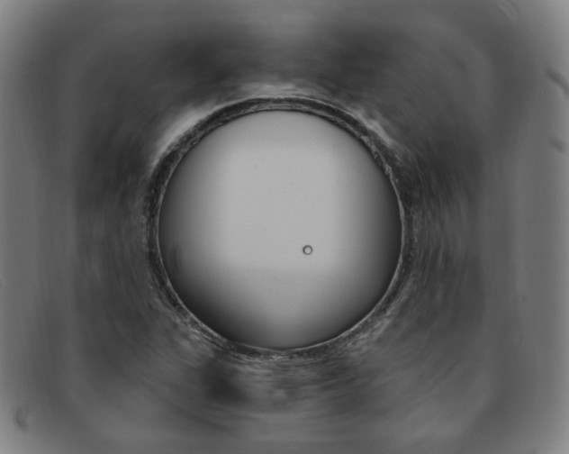 X0000092111311200709121122