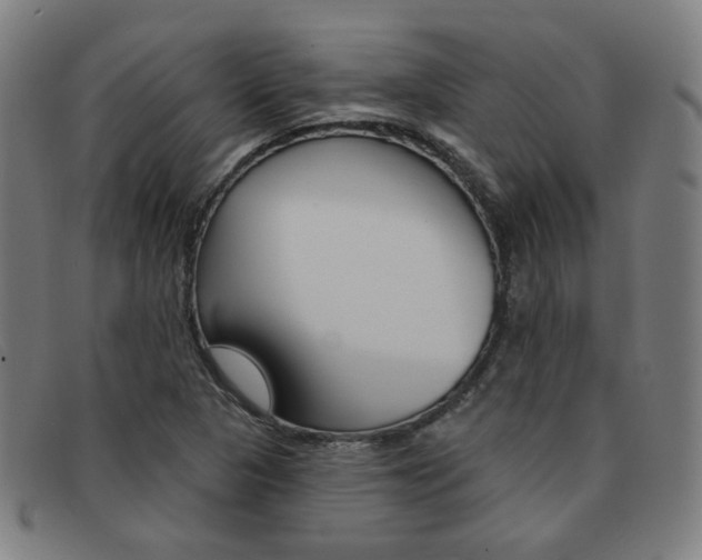X0000092111313200709121122