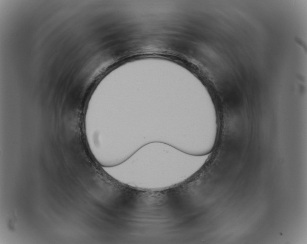 X0000092111314200709121122