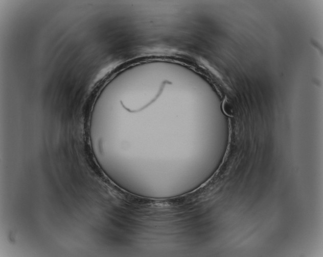 X0000092111315200709121122