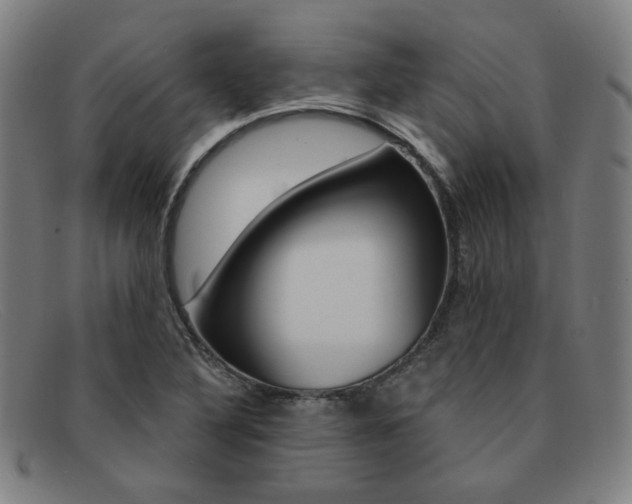 X0000092111316200709121122