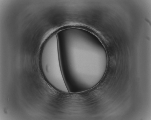 X0000092111319200709121122