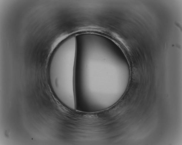 X0000092111320200709121122