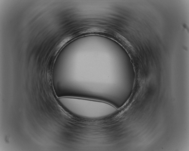 X0000092111321200709121122