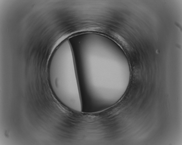 X0000092111324200709121122