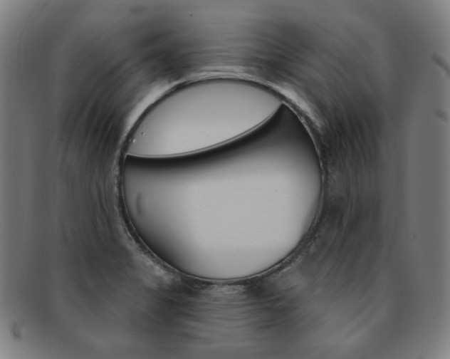 X0000092111325200709121122