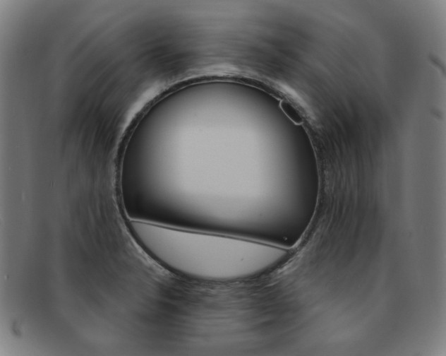 X0000092111326200709121122