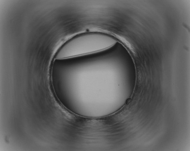 X0000092111327200709121122
