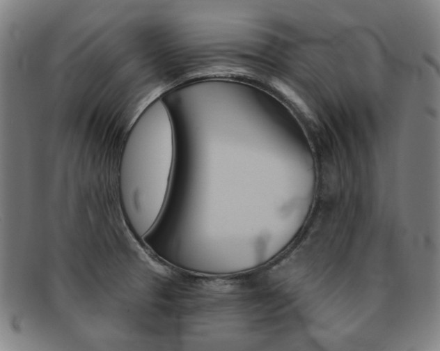 X0000092111329200709121122