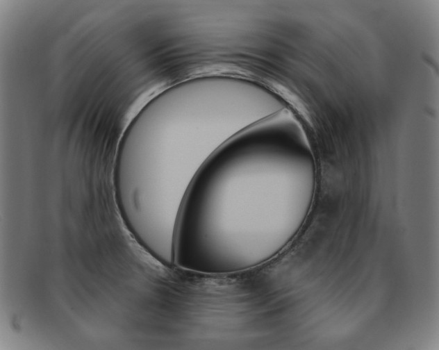 X0000092111330200709121122