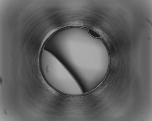 X0000092111331200709121122