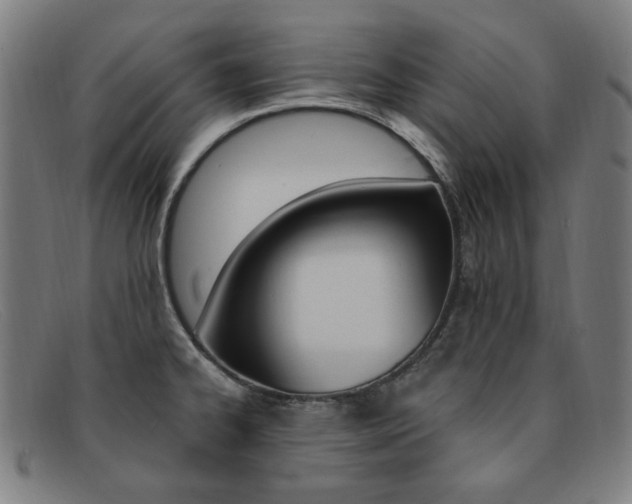 X0000092111334200709121122