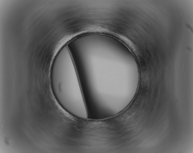 X0000092111335200709121122