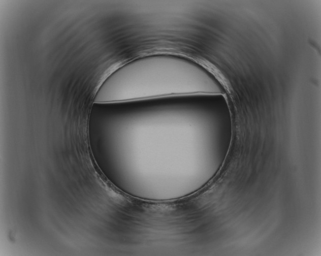 X0000092111337200709121122
