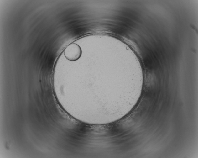 X0000092111338200709121122