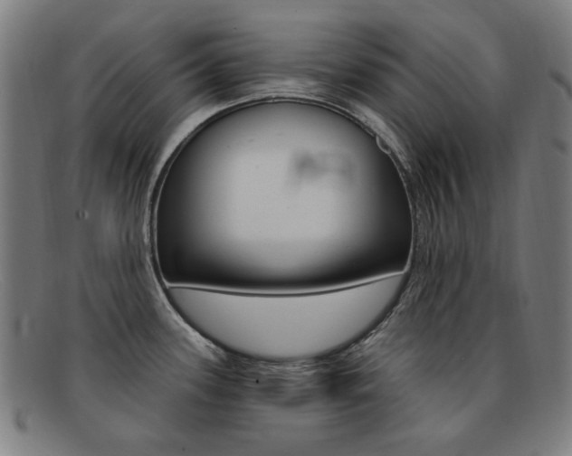 X0000092111339200709121122