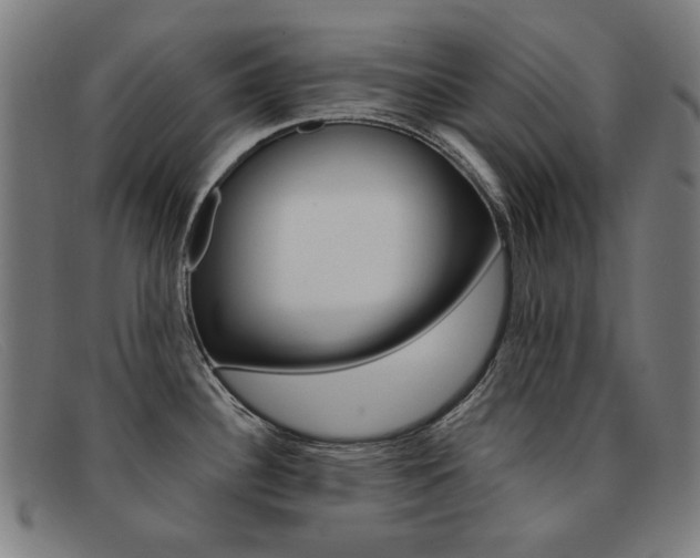 X0000092111340200709121122
