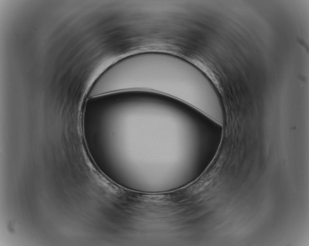 X0000092111342200709121122