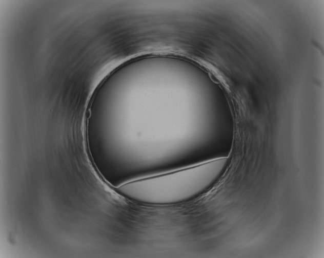 X0000092111343200709121122