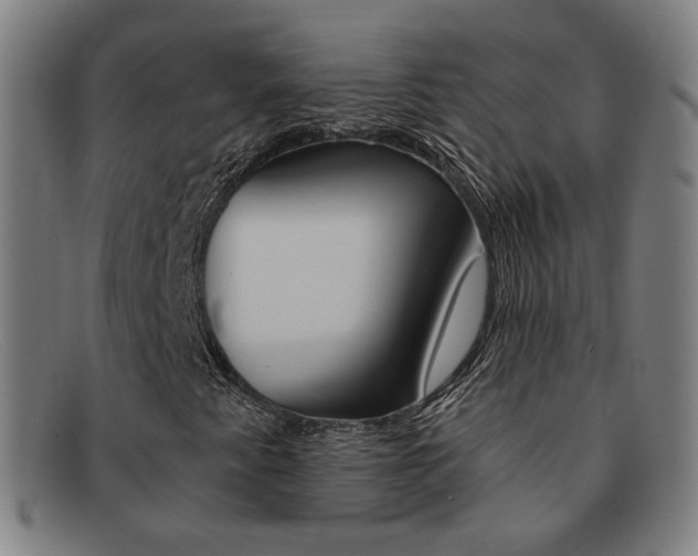 X0000092111345200709121121