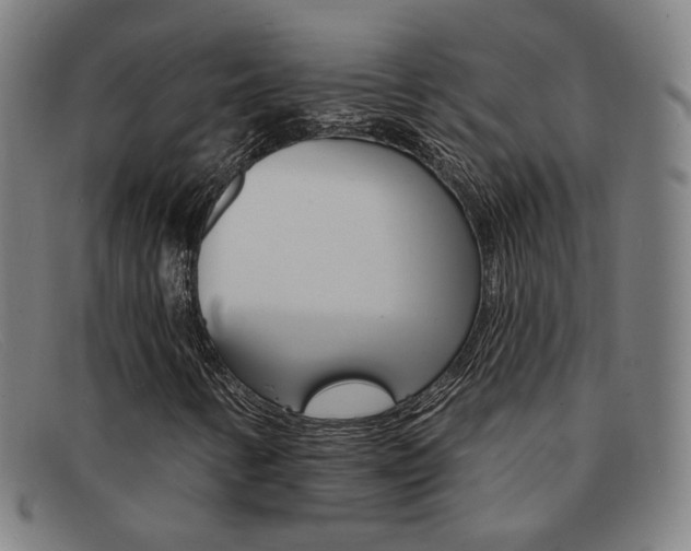 X0000092111346200709121121