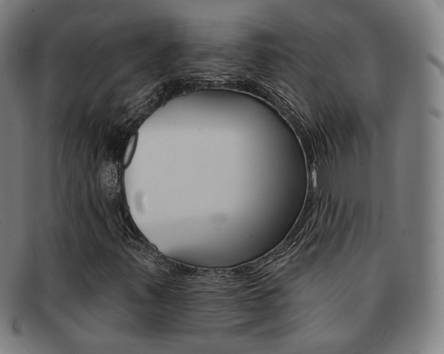 X0000092111347200709121121
