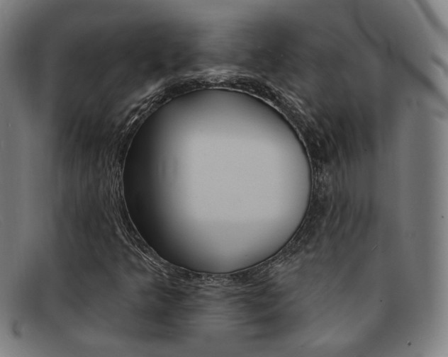 X0000092111349200709121121