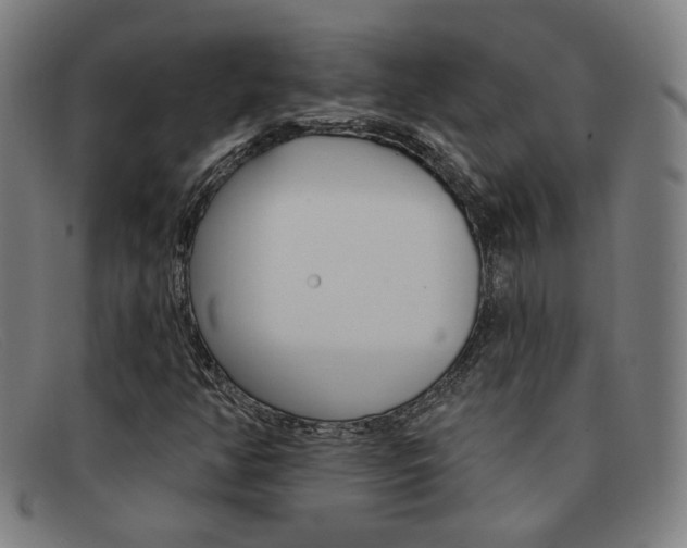 X0000092111350200709121121