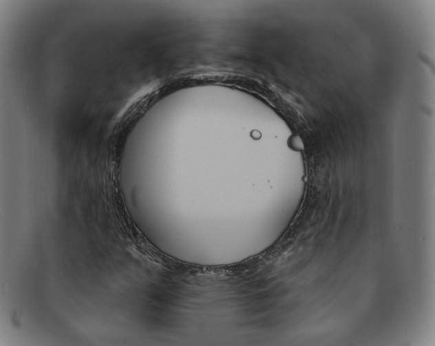 X0000092111351200709121121