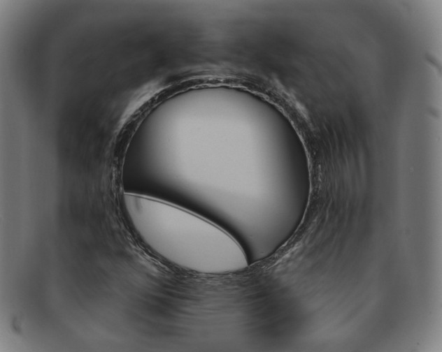 X0000092111352200709121121