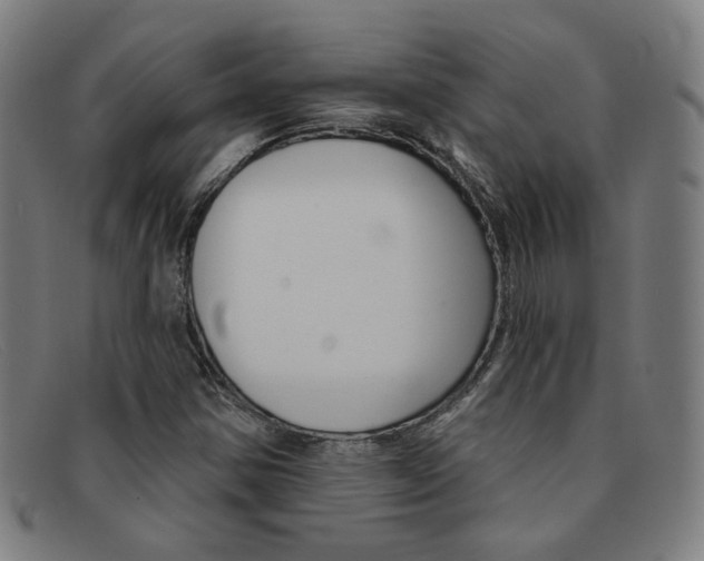 X0000092111354200709121121