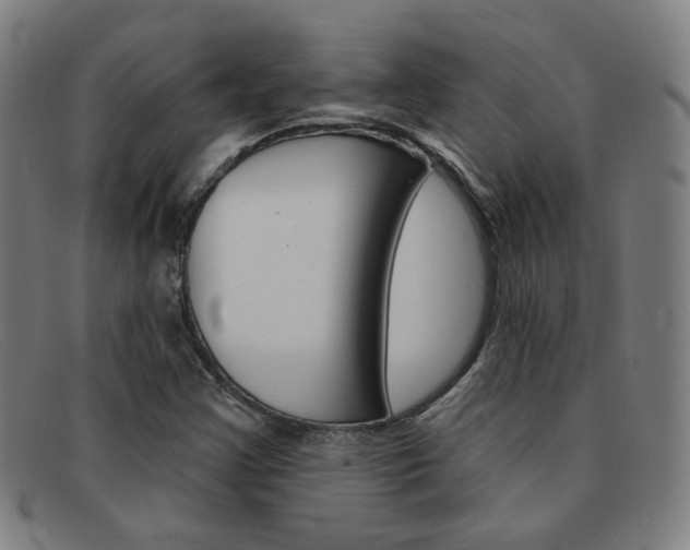 X0000092111355200709121121